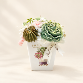 mẫu chậu hoa nến xương rồng